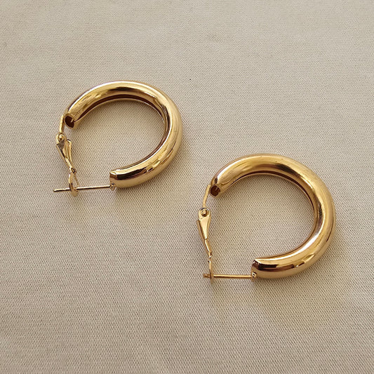 Lune Çelik – Gold Loop Küpe