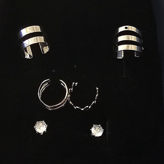 Lune Çelik – Modern Allure Silver Küpe Seti